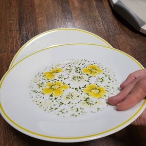 Set of 3 Corelle April Showers 10 in dinner plates